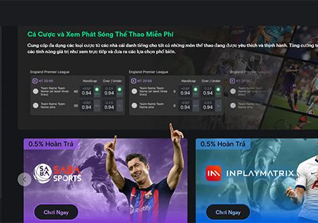 Những ưu điểm và cách cá cược hiệu quả tại nhà cái V9bet 